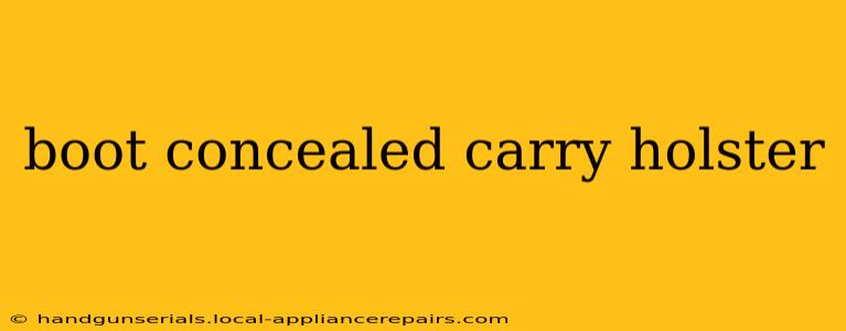 boot concealed carry holster