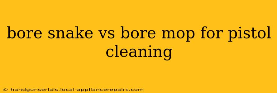 bore snake vs bore mop for pistol cleaning