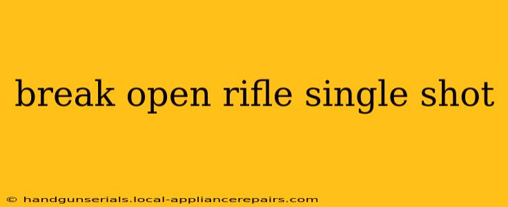 break open rifle single shot