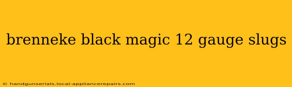 brenneke black magic 12 gauge slugs