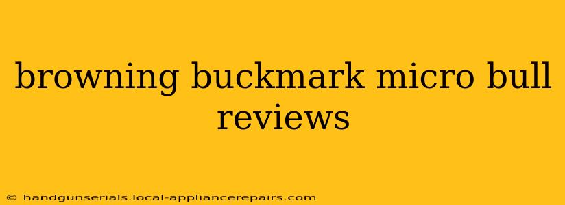 browning buckmark micro bull reviews