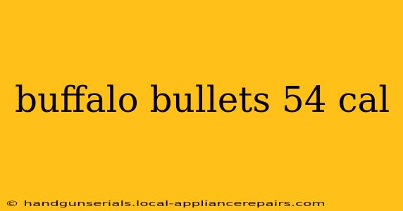 buffalo bullets 54 cal