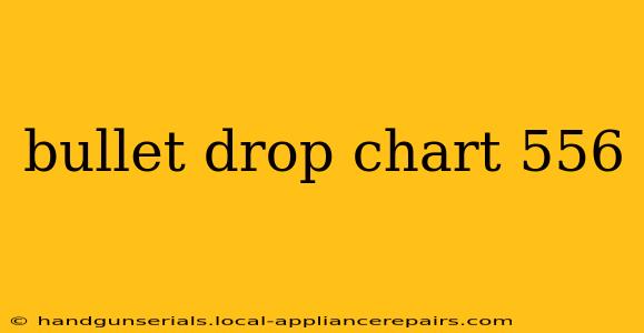 bullet drop chart 556