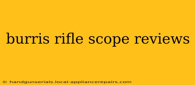 burris rifle scope reviews