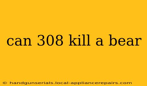 can 308 kill a bear