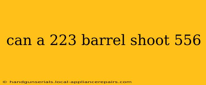 can a 223 barrel shoot 556