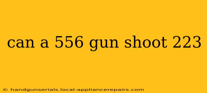 can a 556 gun shoot 223