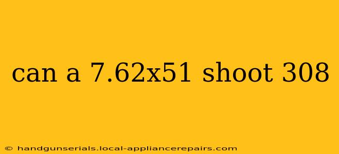 can a 7.62x51 shoot 308