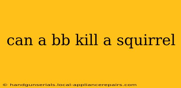 can a bb kill a squirrel