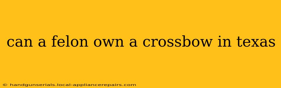 can a felon own a crossbow in texas