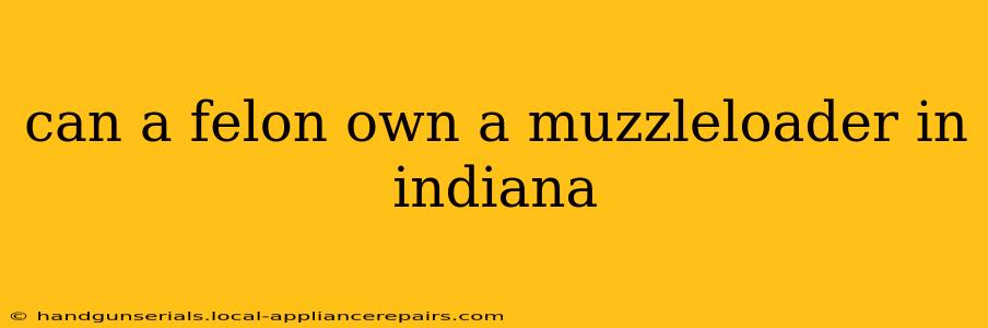 can a felon own a muzzleloader in indiana