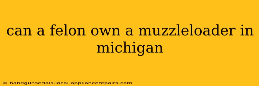 can a felon own a muzzleloader in michigan