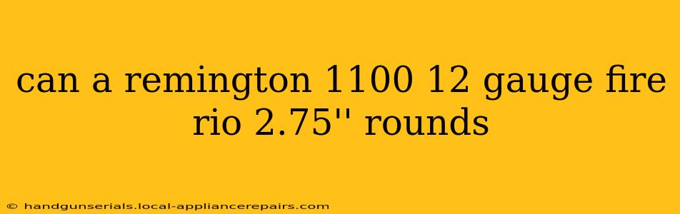 can a remington 1100 12 gauge fire rio 2.75'' rounds