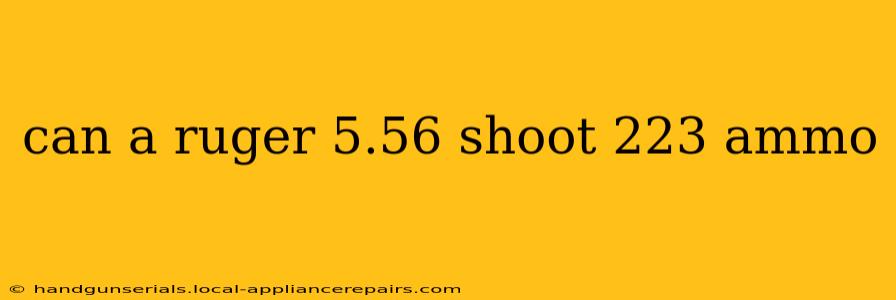 can a ruger 5.56 shoot 223 ammo