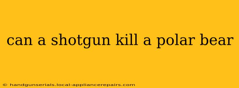 can a shotgun kill a polar bear