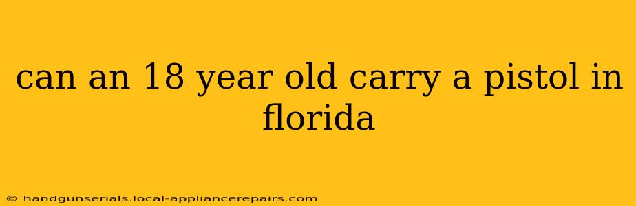 can an 18 year old carry a pistol in florida