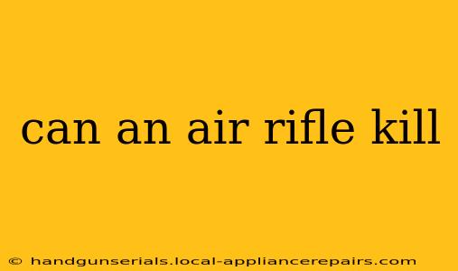 can an air rifle kill