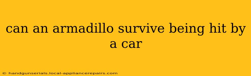 can an armadillo survive being hit by a car