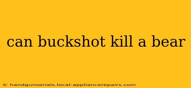 can buckshot kill a bear