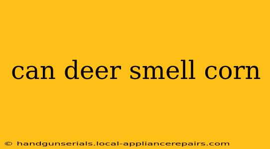 can deer smell corn