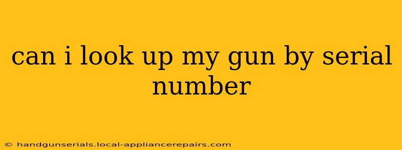 can i look up my gun by serial number