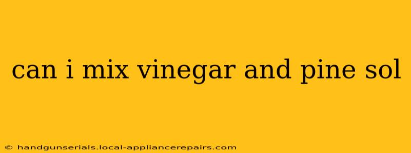 can i mix vinegar and pine sol