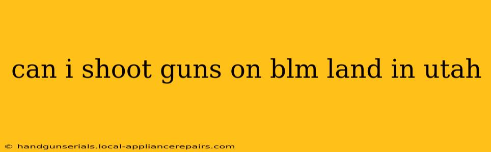 can i shoot guns on blm land in utah