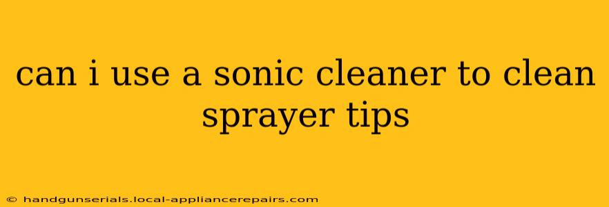 can i use a sonic cleaner to clean sprayer tips