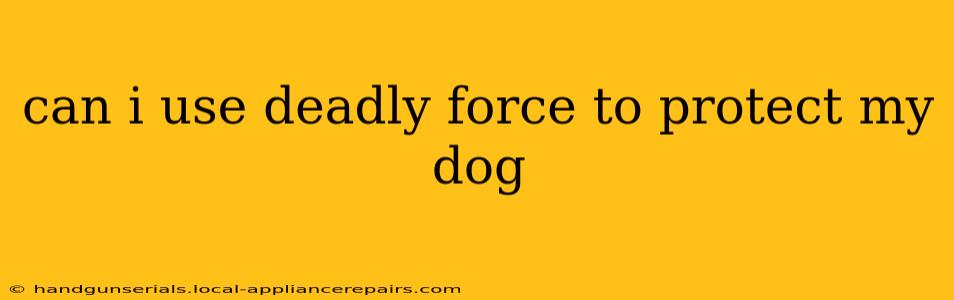 can i use deadly force to protect my dog