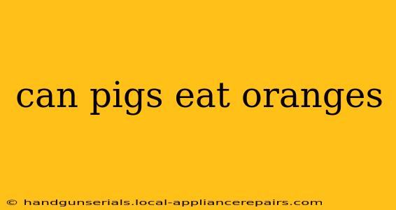 can pigs eat oranges