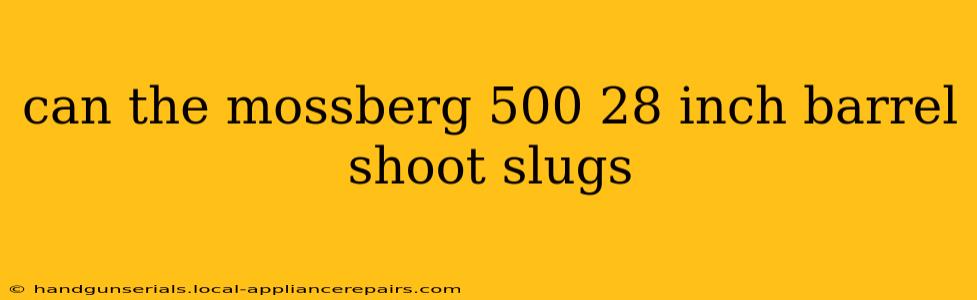 can the mossberg 500 28 inch barrel shoot slugs