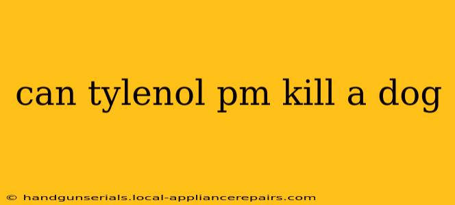 can tylenol pm kill a dog