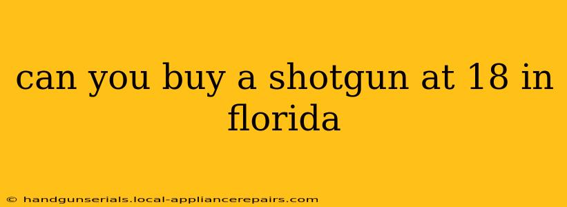 can you buy a shotgun at 18 in florida