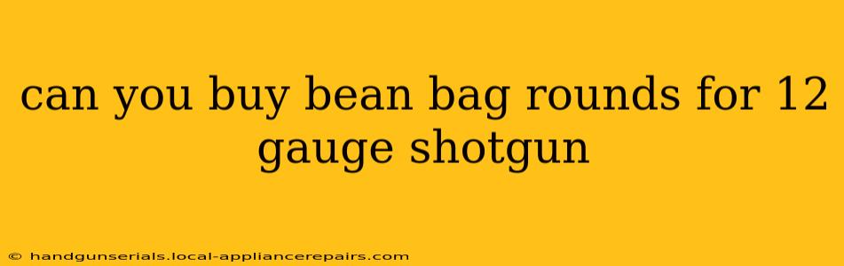 can you buy bean bag rounds for 12 gauge shotgun