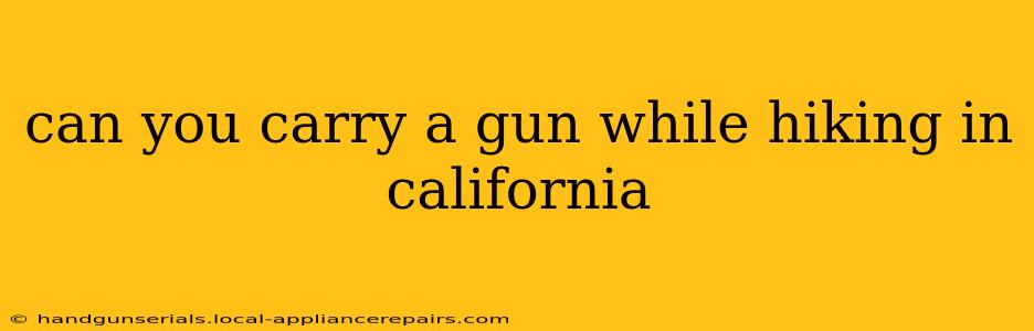 can you carry a gun while hiking in california