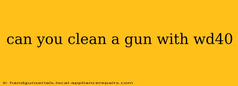 can you clean a gun with wd40