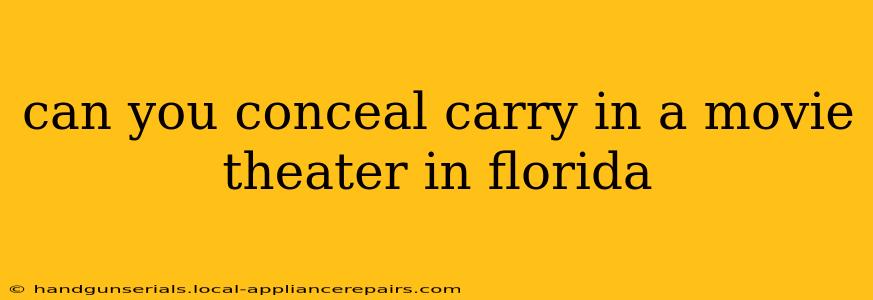 can you conceal carry in a movie theater in florida