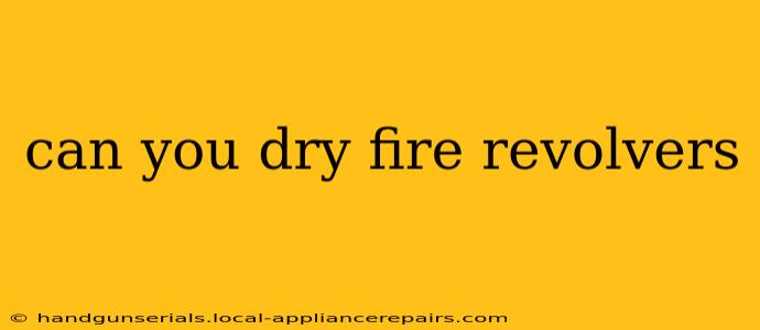 can you dry fire revolvers