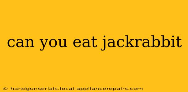 can you eat jackrabbit