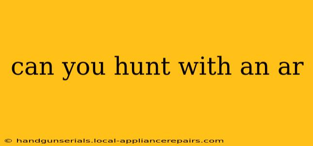 can you hunt with an ar