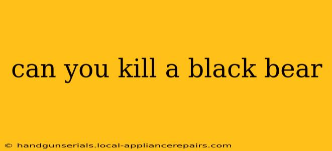 can you kill a black bear