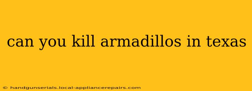 can you kill armadillos in texas