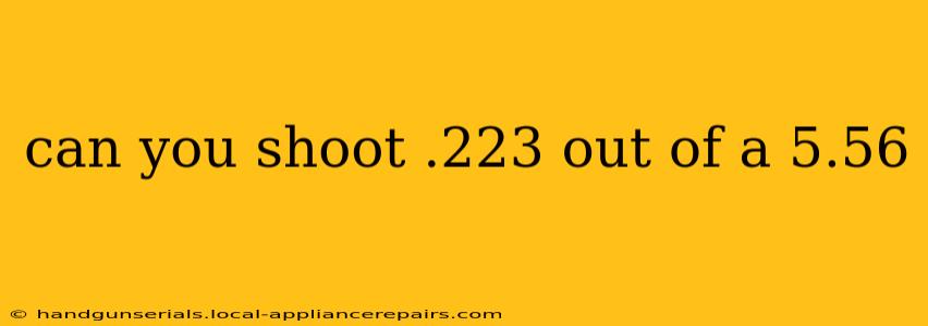 can you shoot .223 out of a 5.56