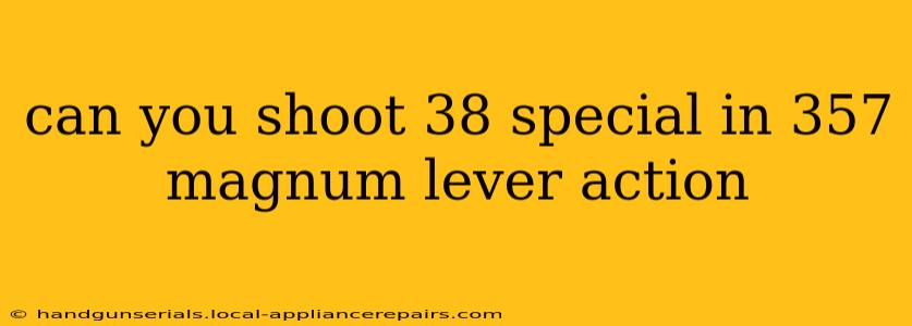 can you shoot 38 special in 357 magnum lever action