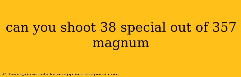 can you shoot 38 special out of 357 magnum