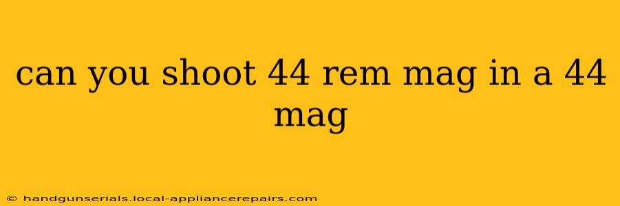 can you shoot 44 rem mag in a 44 mag