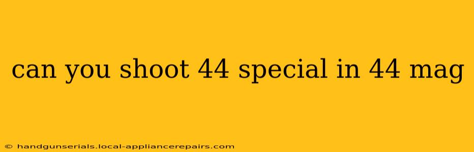 can you shoot 44 special in 44 mag