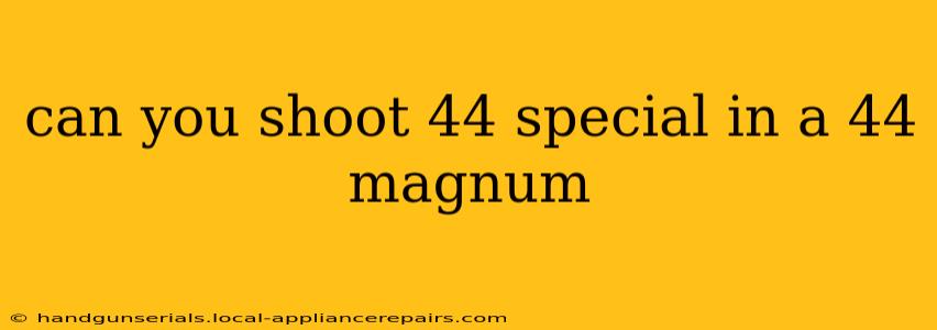 can you shoot 44 special in a 44 magnum