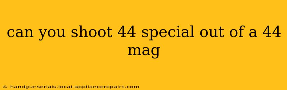 can you shoot 44 special out of a 44 mag