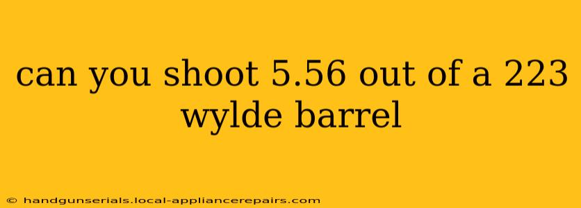 can you shoot 5.56 out of a 223 wylde barrel